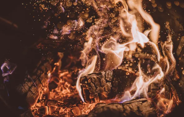 Картинка пепел, огонь, пламя, костер, дрова, угли, fire