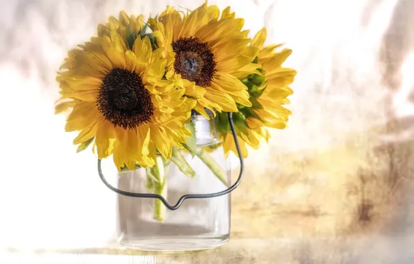 Картинка цветы, подсолнух, лепестки, цветение, flowers, petals, sunflower, bloom