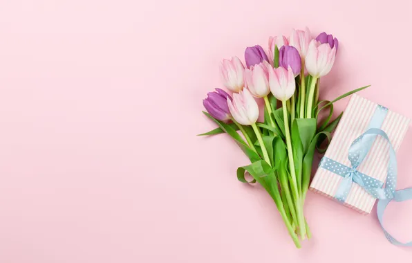 Цветы, подарок, тюльпаны, розовый фон, 8 марта, pink, flowers, background