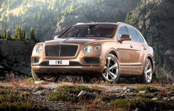 Картинка Bentley, бентли, 2016, Bentayga