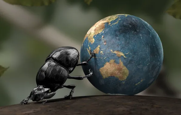 Earth, bird, insect, CGI, crabs, one animal, animal wildlife, Dung beetle