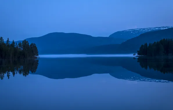 Dark, sky, trees, landscape, nature, sunset, water, night